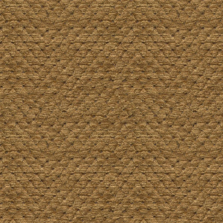 Brunschwig & Fils SOLITAIRE TEXTURE HAZELNUT Upholstery Fabric