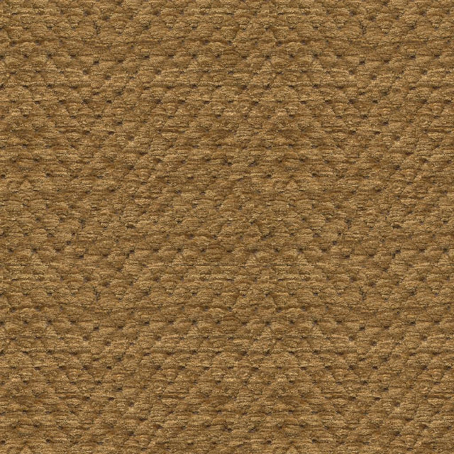 Brunschwig & Fils SOLITAIRE TEXTURE HAZELNUT Upholstery Fabric