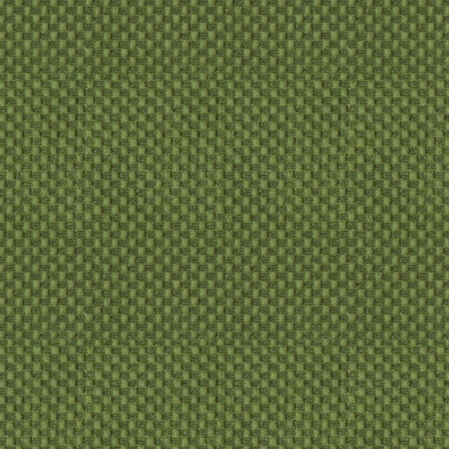 Brunschwig & Fils NEW MEYMAC CHECK VELVET VERT Upholstery Fabric