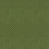 Brunschwig & Fils NEW MEYMAC CHECK VELVET VERT Upholstery Fabric
