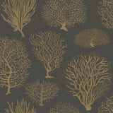 Cole & Son SEAFERN BLACK & GOLD Wallpaper