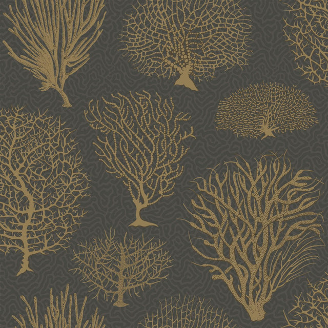 Cole & Son SEAFERN BLACK & GOLD Wallpaper