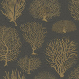 Cole & Son Seafern Black & Gold Wallpaper