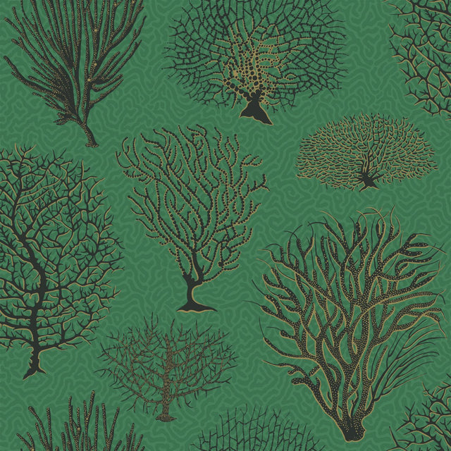 Cole & Son SEAFERN EMERALD Wallpaper