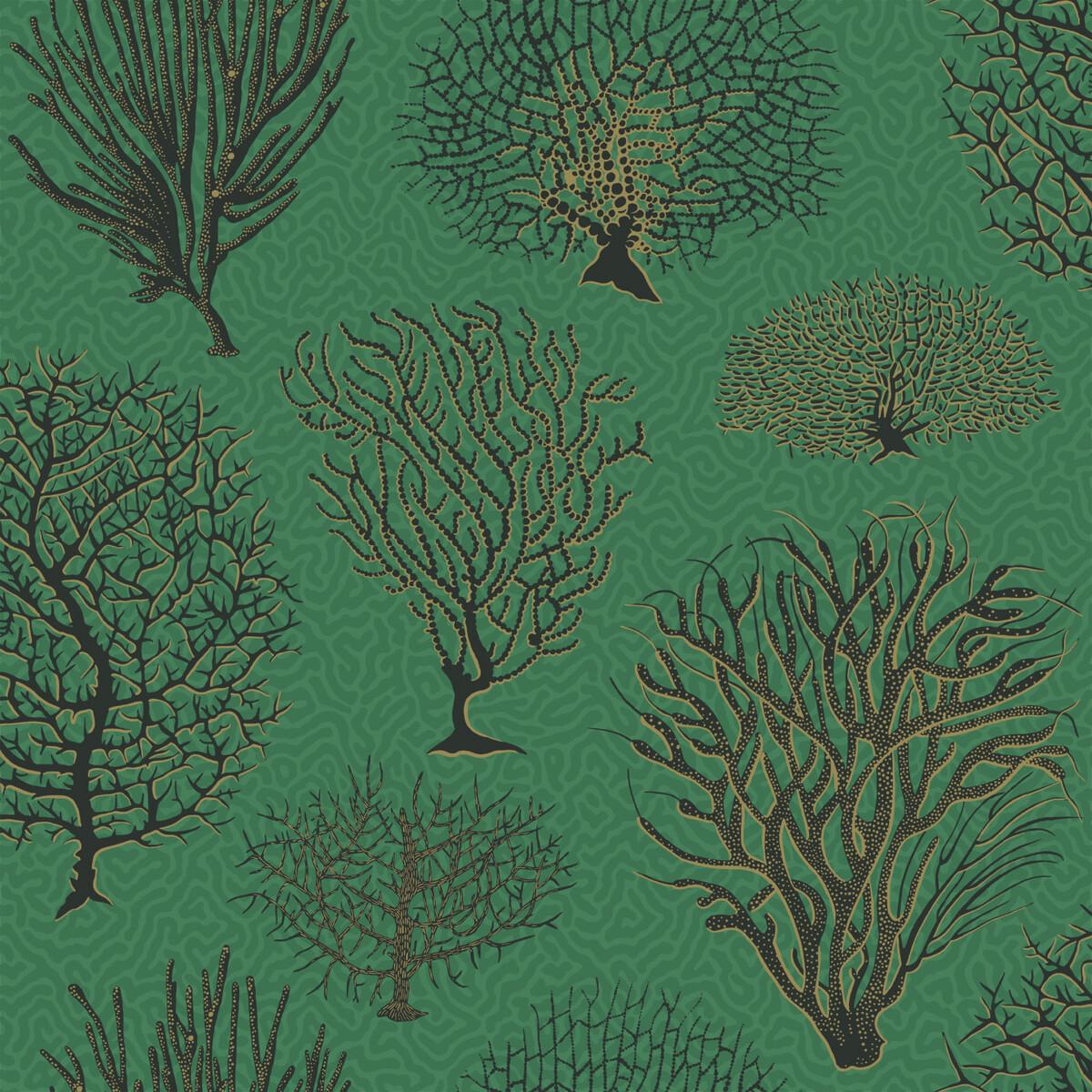 Cole & Son Seafern Emerald Wallpaper