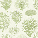 Cole & Son SEAFERN SOFT GREEN Wallpaper