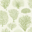 Cole & Son SEAFERN SOFT GREEN Wallpaper