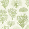 Cole & Son Seafern Soft Green Wallpaper