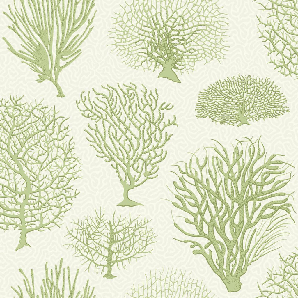 Cole & Son Seafern Soft Green Wallpaper