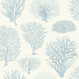 Cole & Son Seafern Blue Wallpaper