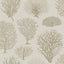 Cole & Son SEAFERN STONE Wallpaper