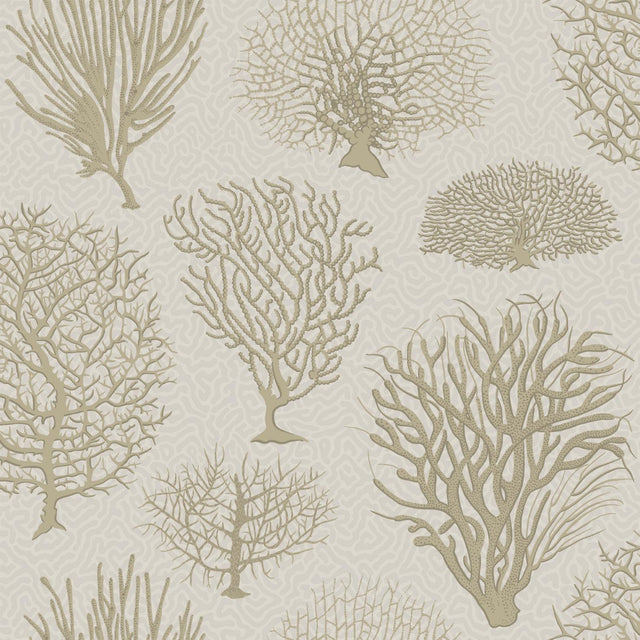 Cole & Son SEAFERN STONE Wallpaper