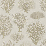 Cole & Son Seafern Stone Wallpaper