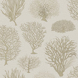 Cole & Son SEAFERN STONE Wallpaper