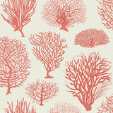 Cole & Son SEAFERN CORAL Wallpaper