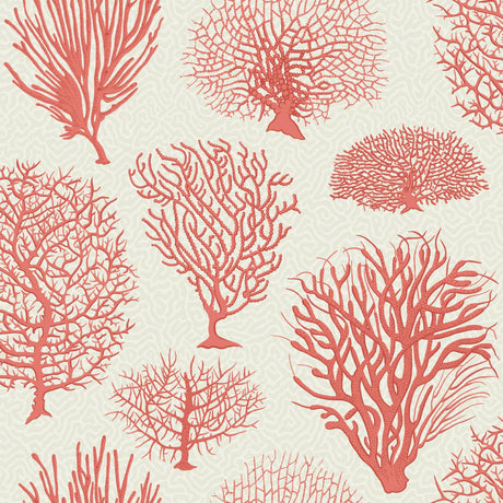 Cole & Son SEAFERN CORAL Wallpaper