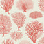 Cole & Son SEAFERN CORAL Wallpaper