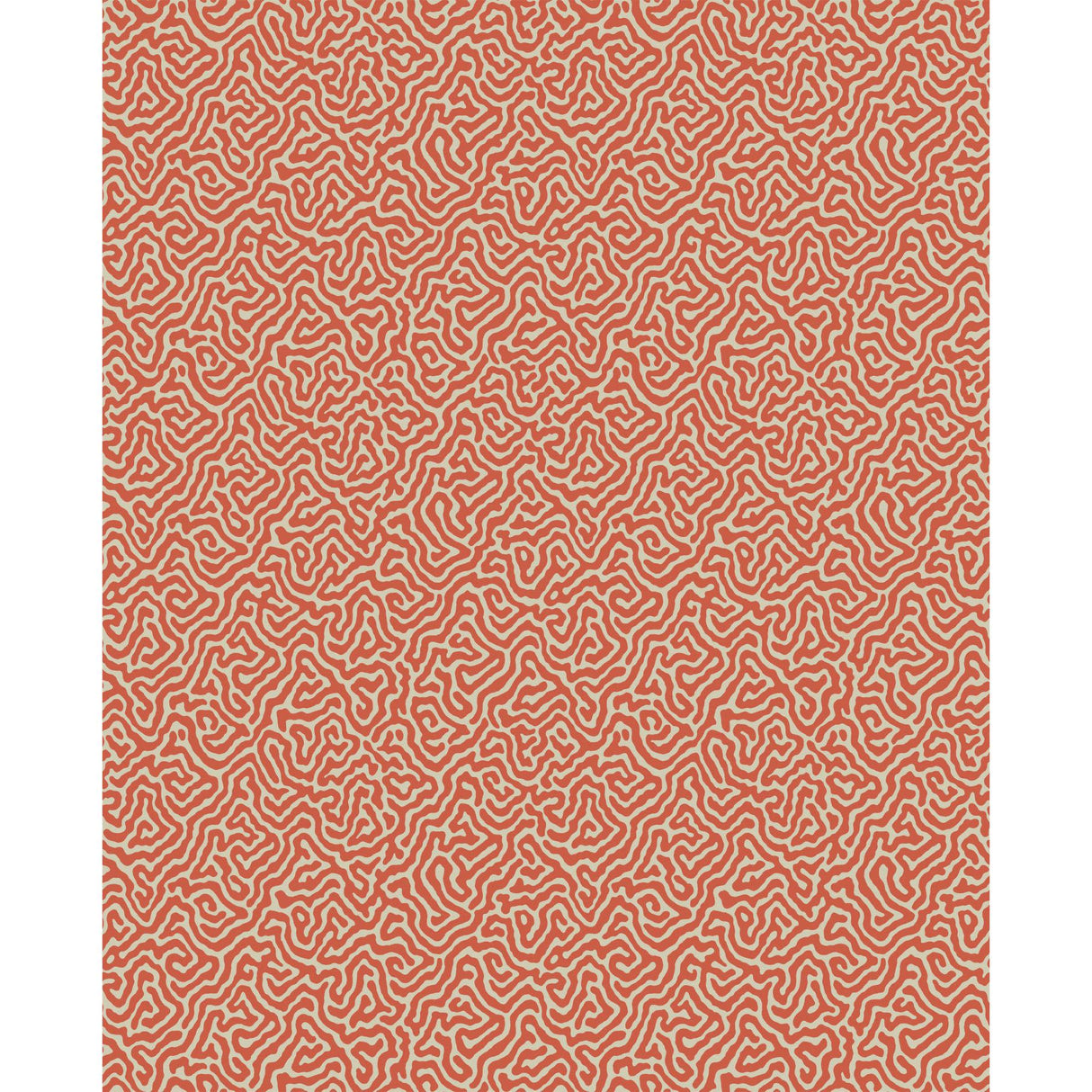 Cole & Son VERMICELLI CORAL Wallpaper
