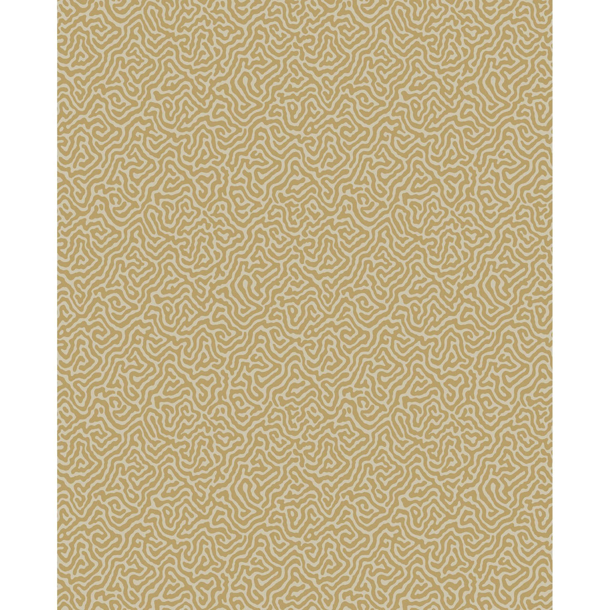 Cole & Son VERMICELLI BUFF & GOLD Wallpaper