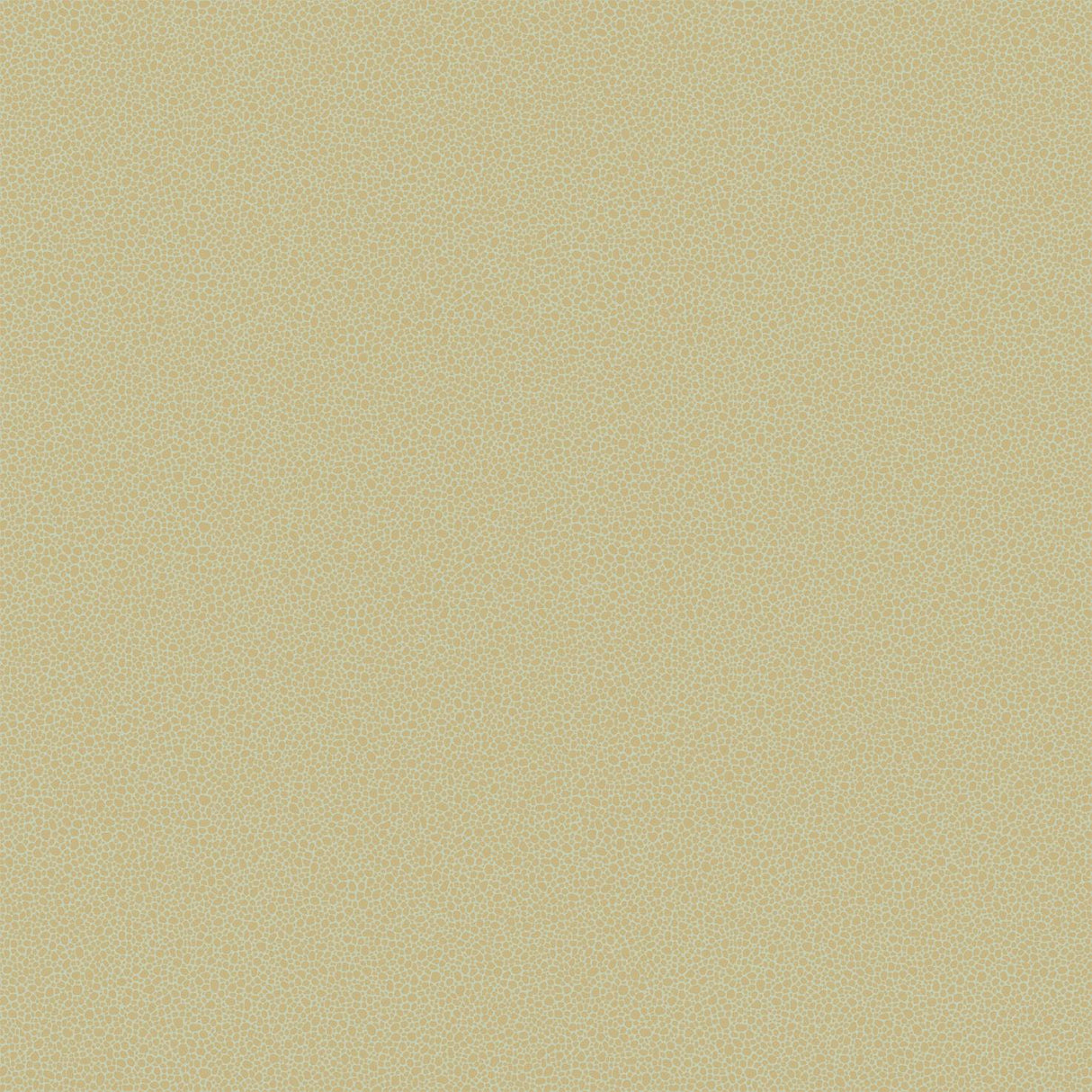 Cole & Son GOLDSTONE OLIVE & GOLD Wallpaper