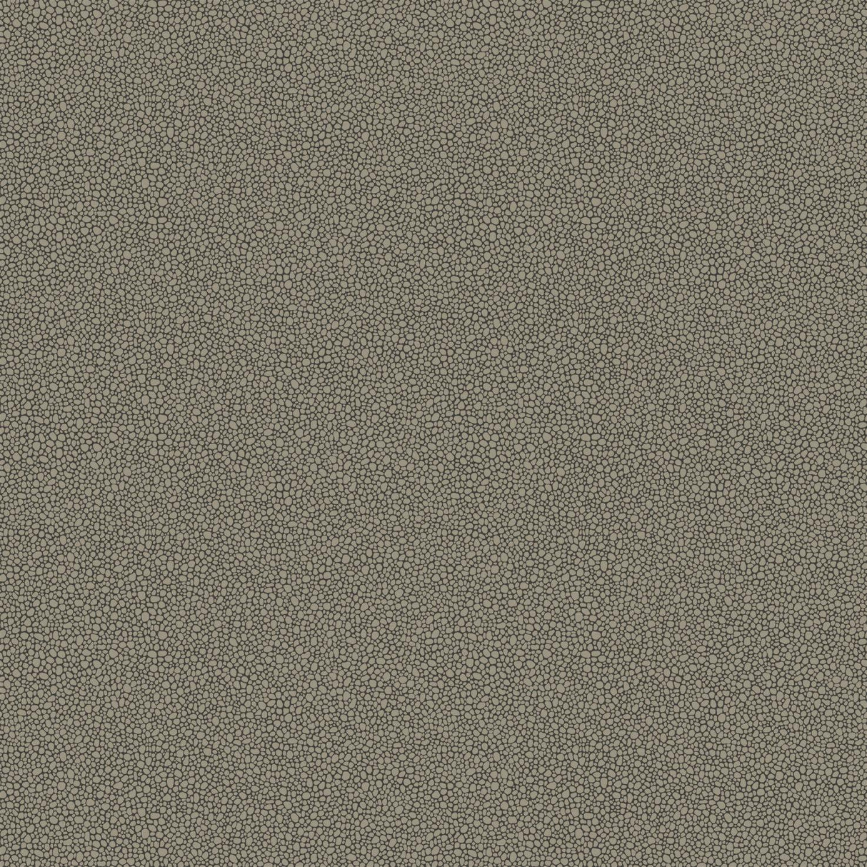 Cole & Son GOLDSTONE BLACK & SILVER Wallpaper