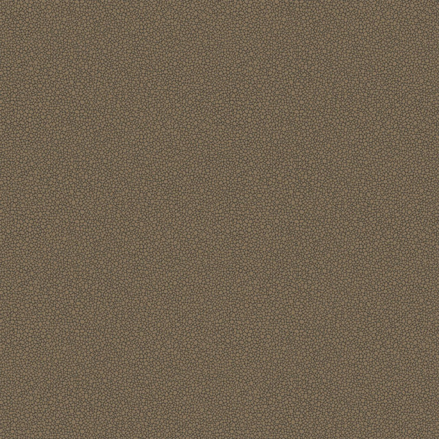 Cole & Son GOLDSTONE BLACK & BRONZE Wallpaper