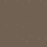 Cole & Son Goldstone Black & Bronze Wallpaper