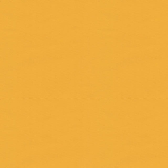 Brunschwig & Fils NINON TAFFETAS SUNBURST Upholstery Fabric