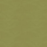 Brunschwig & Fils NINON TAFFETAS FERN Upholstery Fabric