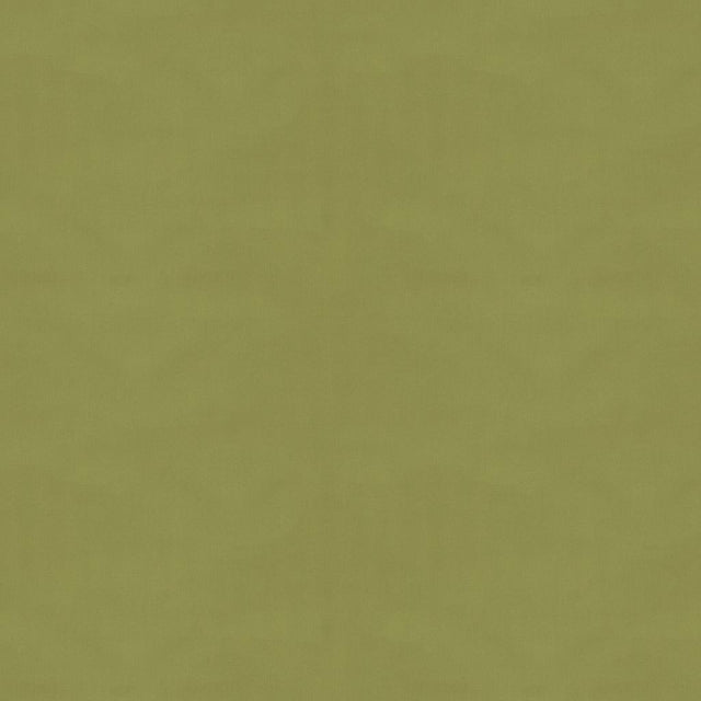 Brunschwig & Fils NINON TAFFETAS FERN Upholstery Fabric