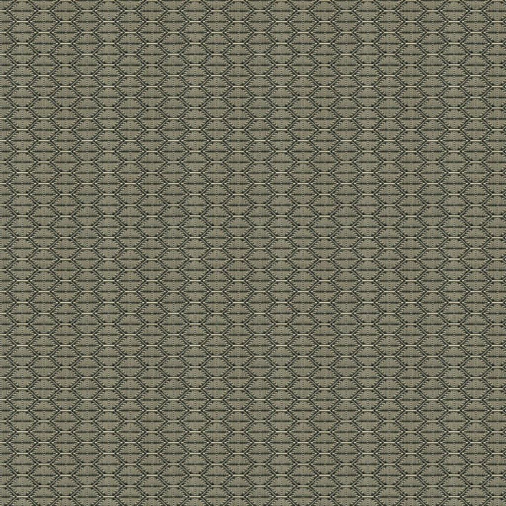 Kravet NZURI THUNDER Fabric