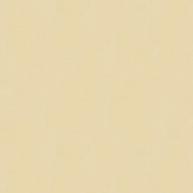 Brunschwig & Fils NINON TAFFETAS GRIS Upholstery Fabric