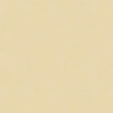 Brunschwig & Fils NINON TAFFETAS GRIS Upholstery Fabric