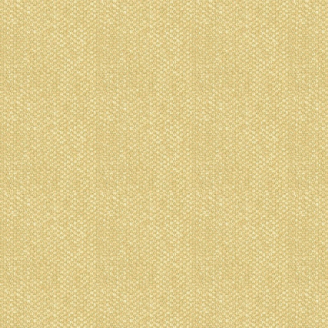 Brunschwig & Fils YORKE CHENILLE SAND Upholstery Fabric