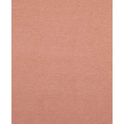 Brunschwig & Fils YORKE CHENILLE CHERUB Upholstery Fabric