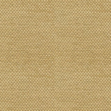 Brunschwig & Fils YORKE CHENILLE GOLD WITH BEIGE Upholstery Fabric