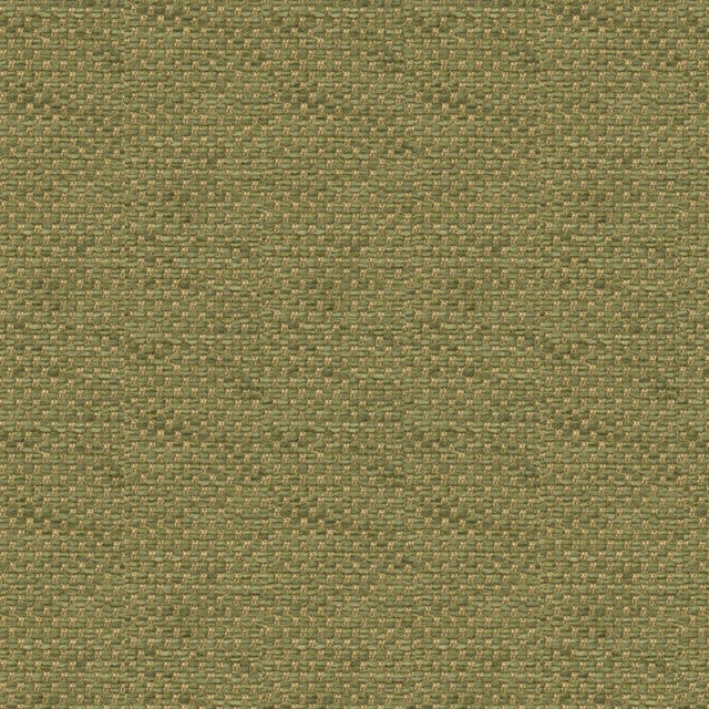 Brunschwig & Fils YORKE CHENILLE MOSS Upholstery Fabric