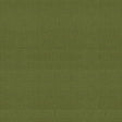 Brunschwig & Fils BOSPORUS OTTOMAN TEXTURE MOSS Upholstery Fabric
