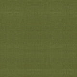 Brunschwig & Fils BOSPORUS OTTOMAN TEXTURE MOSS Upholstery Fabric