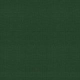 Brunschwig & Fils BOSPORUS OTTOMAN TEXTURE FOREST Upholstery Fabric