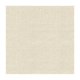 Kravet Sener Ivory Fabric