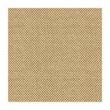 Kravet Sener Ochre Fabric