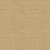 Kravet SENER OCHRE Upholstery Fabric