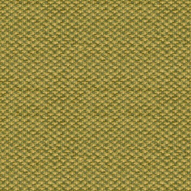 Brunschwig & Fils SPENCER SILK CHENILLE LEAF Upholstery Fabric