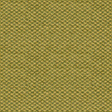 Brunschwig & Fils SPENCER SILK CHENILLE LEAF Upholstery Fabric