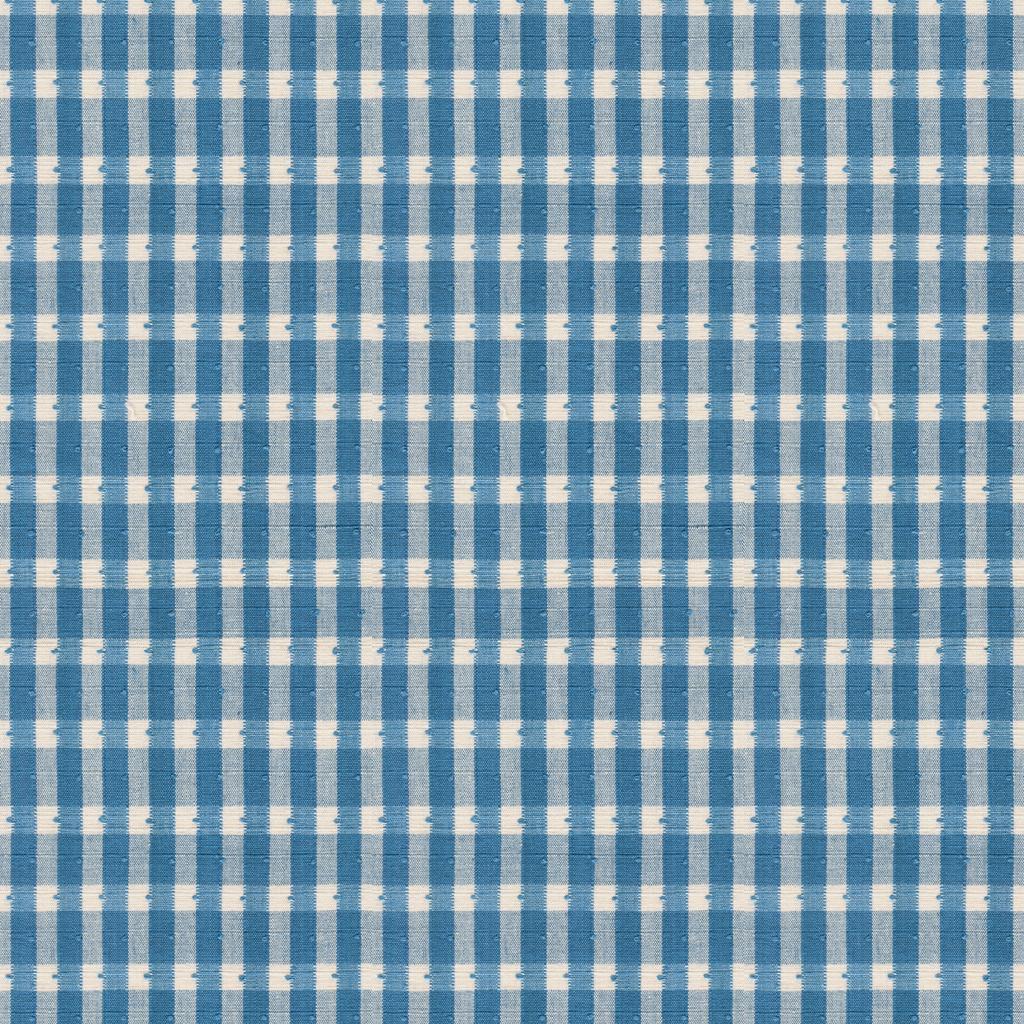 Brunschwig & Fils HALSEY COTTON CHECK OXFORD BLUE Upholstery Fabric