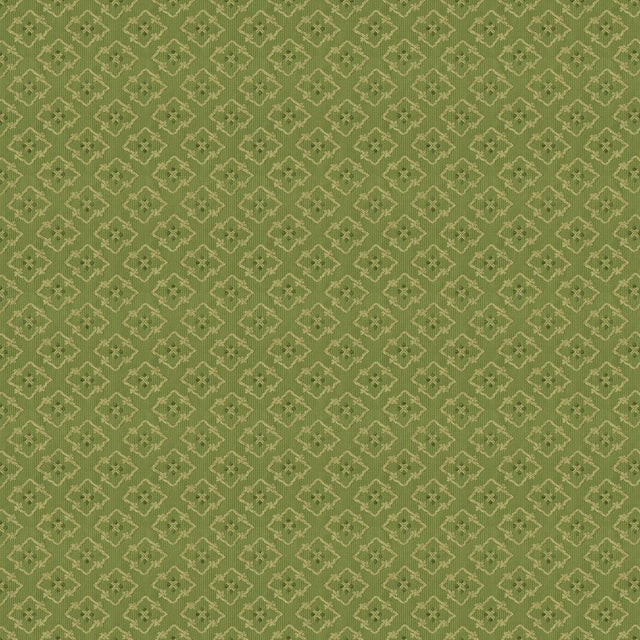 Brunschwig & Fils CREEK FIGURED WOVEN GREEN Upholstery Fabric