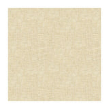 Kravet 4038 1116 Fabric