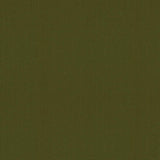 Brunschwig & Fils FYVIE WOOL SATIN LODEN Upholstery Fabric