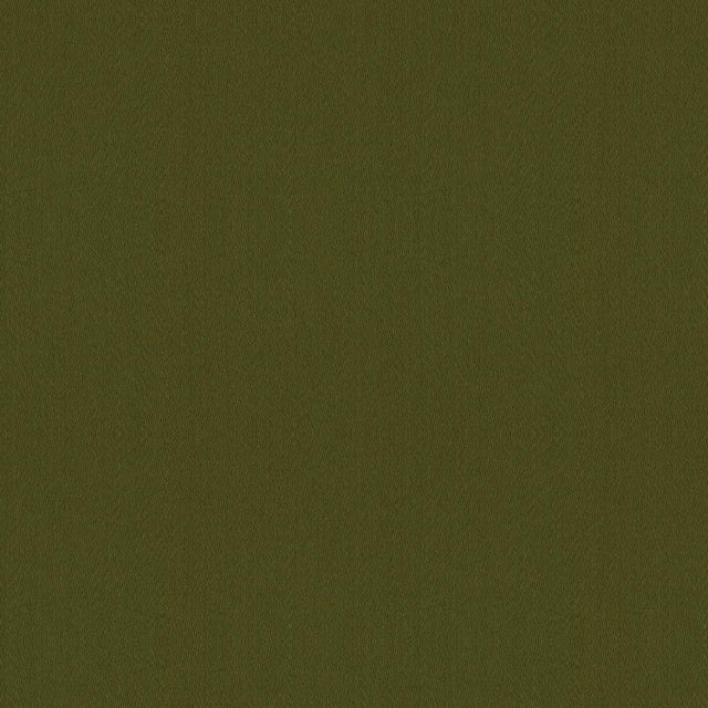 Brunschwig & Fils FYVIE WOOL SATIN LODEN Upholstery Fabric